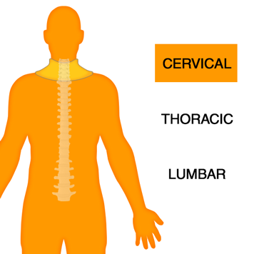 Cervical Spine Orthotics Back Brace Image