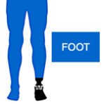 Foot Prosthetics