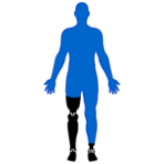 Body Legs Prosthetics
