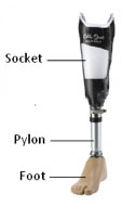 below knee prosthetic modication
